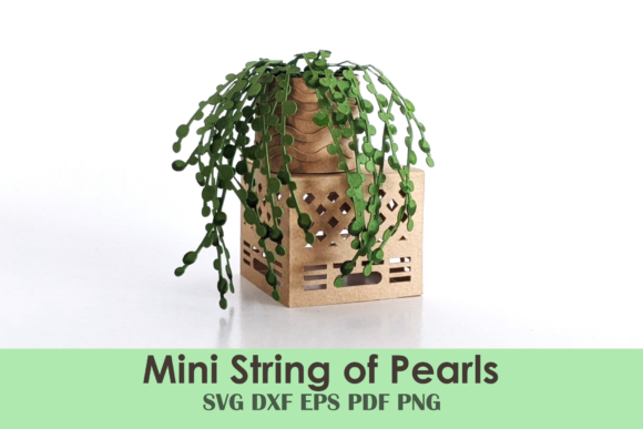 Mini String of Pearls Plant Template: A Creative and Practical Resource for DIY Enthusiasts